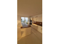 clearpoint-highest-floor-penthouse-for-sale-in-rajagiriya-ea115-small-5