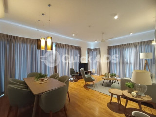 Luna Tower Brand New 2 Rooms Fully Furnished Luxury Apartment for Rent (A14201)