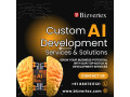 ai-development-company-your-partner-in-building-next-gen-solutions-small-0