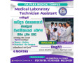 medical-laboratory-technician-assistant-course-small-1