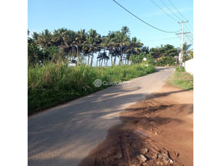 50 perch land For Sale in Galle - EL33